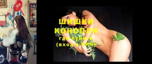 марки lsd Новозыбков