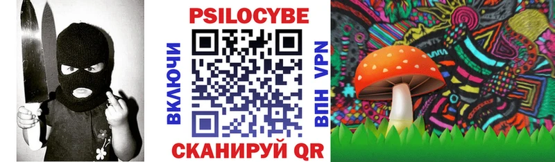 Галлюциногенные грибы Psilocybe  Черемхово 