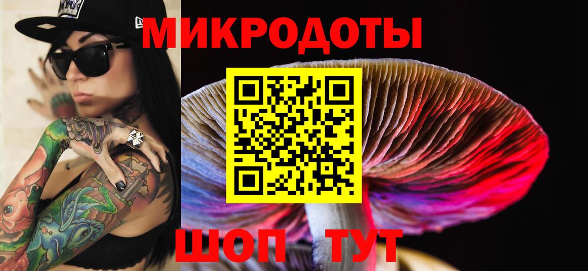 Галлюциногенные грибы прущие грибы Черемхово