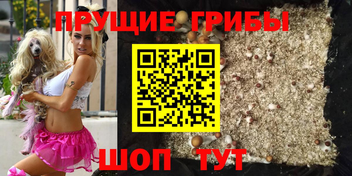 цена   Галлюциногенные грибы мицелий  Вход с VPN  Черемхово 
